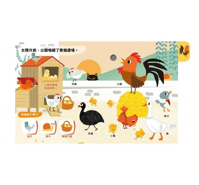 寶貝想聽：農場裡的聲音